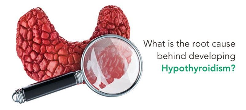 360 degree about hypothyroidism