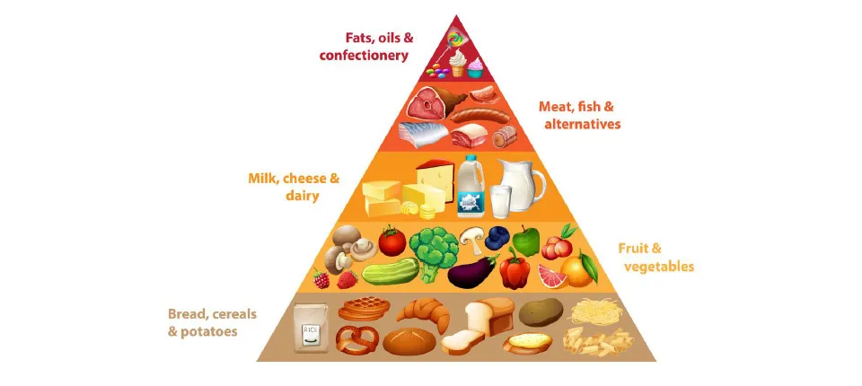 Food-Pyramid-For-Kids-Teens
